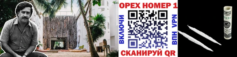 цены Ленинградская COCAIN 97%