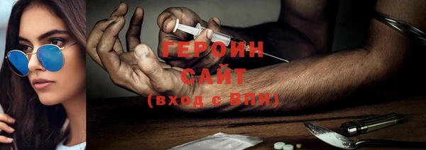 PSILOCYBIN Бородино