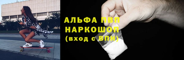 PSILOCYBIN Бородино
