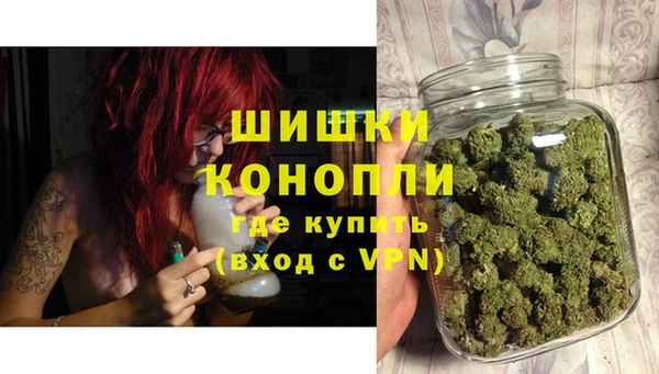 PSILOCYBIN Бородино