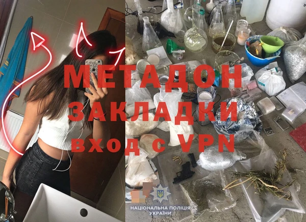 PSILOCYBIN Бородино