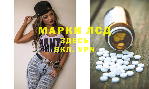 PSILOCYBIN Бородино