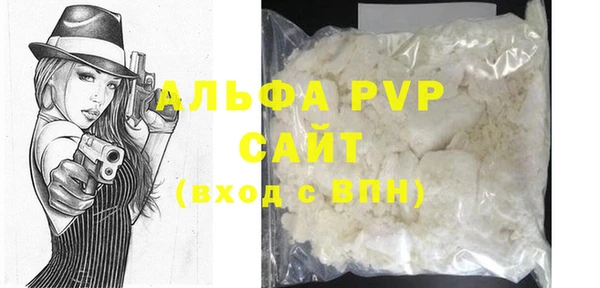 PSILOCYBIN Бородино