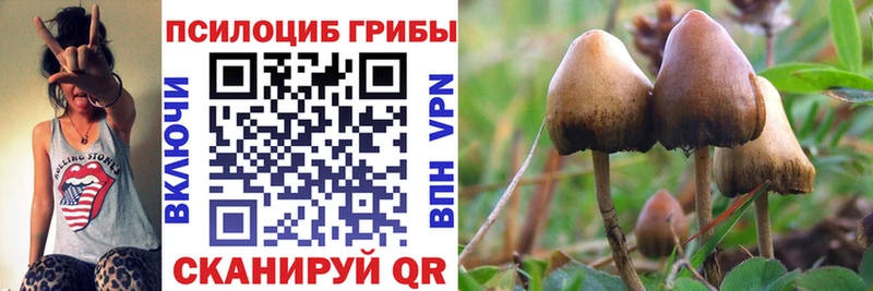 Псилоцибиновые грибы Cubensis  ссылка на мегу tor  Ленинградская 