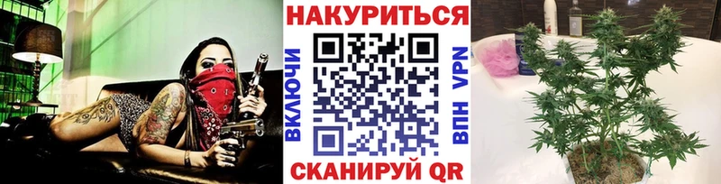 Бошки Шишки индика Ленинградская